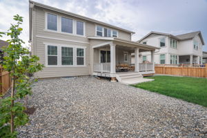 Exterior Back Yard