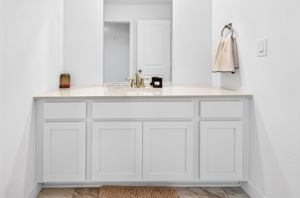Interior BR 2 Bath Vanity