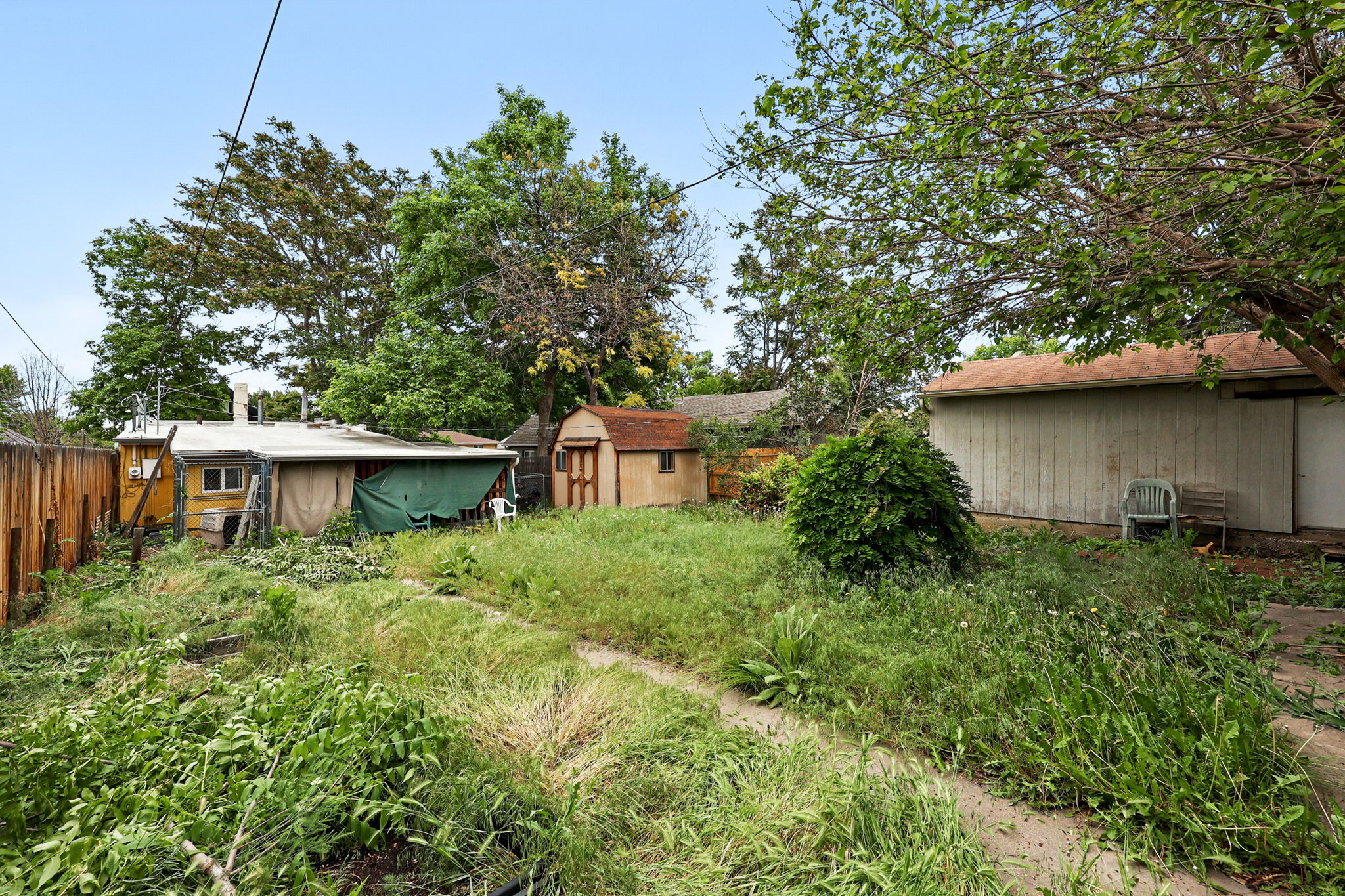  Photo 6
