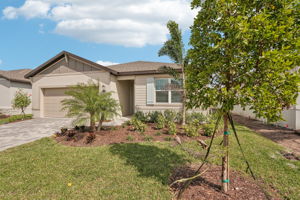 Tampa - Magnolia Bay - 466 Sun Chaser Drive - Lot 339 - 001