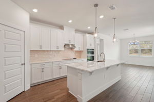 Tampa - Magnolia Bay - 466 Sun Chaser Drive - Lot 339 - 014