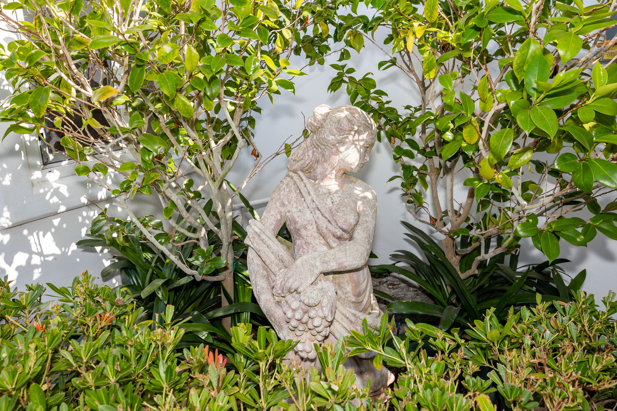  Photo 47