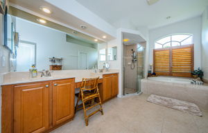 Master Bathroom 1a