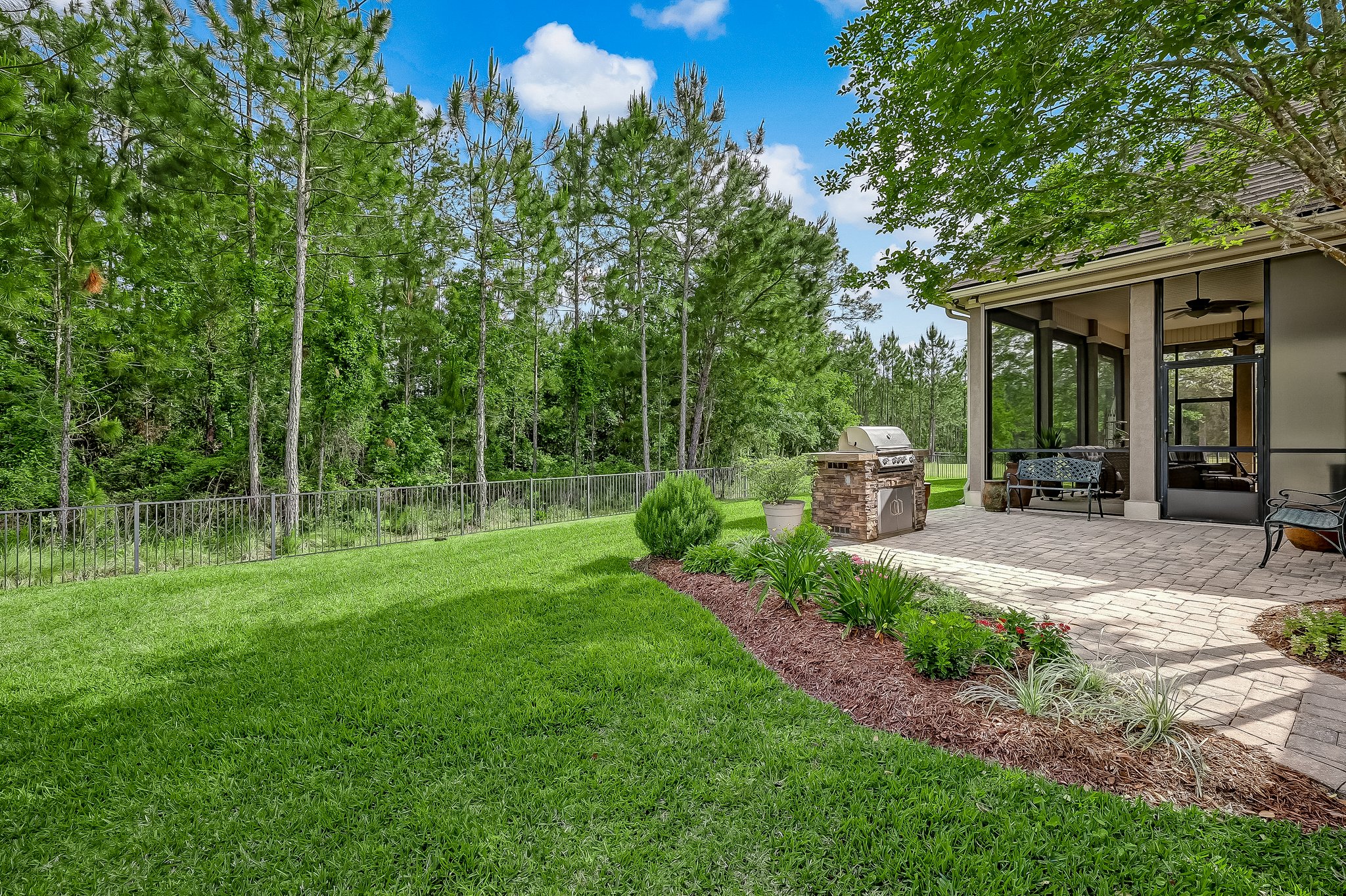 Back Yard