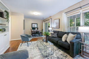 Lower Level Family Room