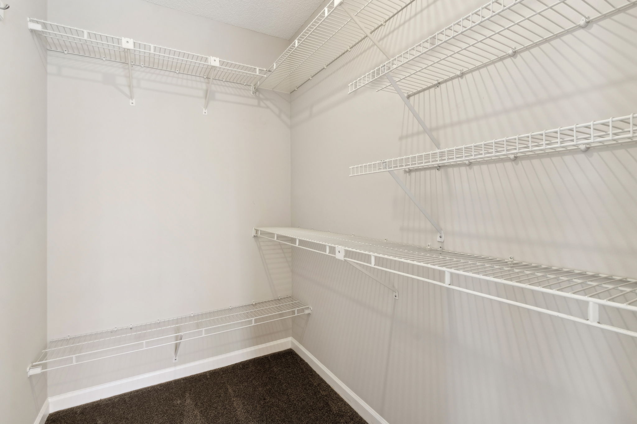 Primary Bedroom Closet