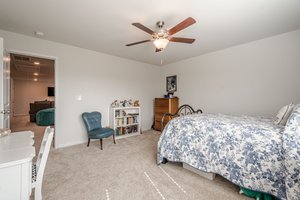  Photo 43