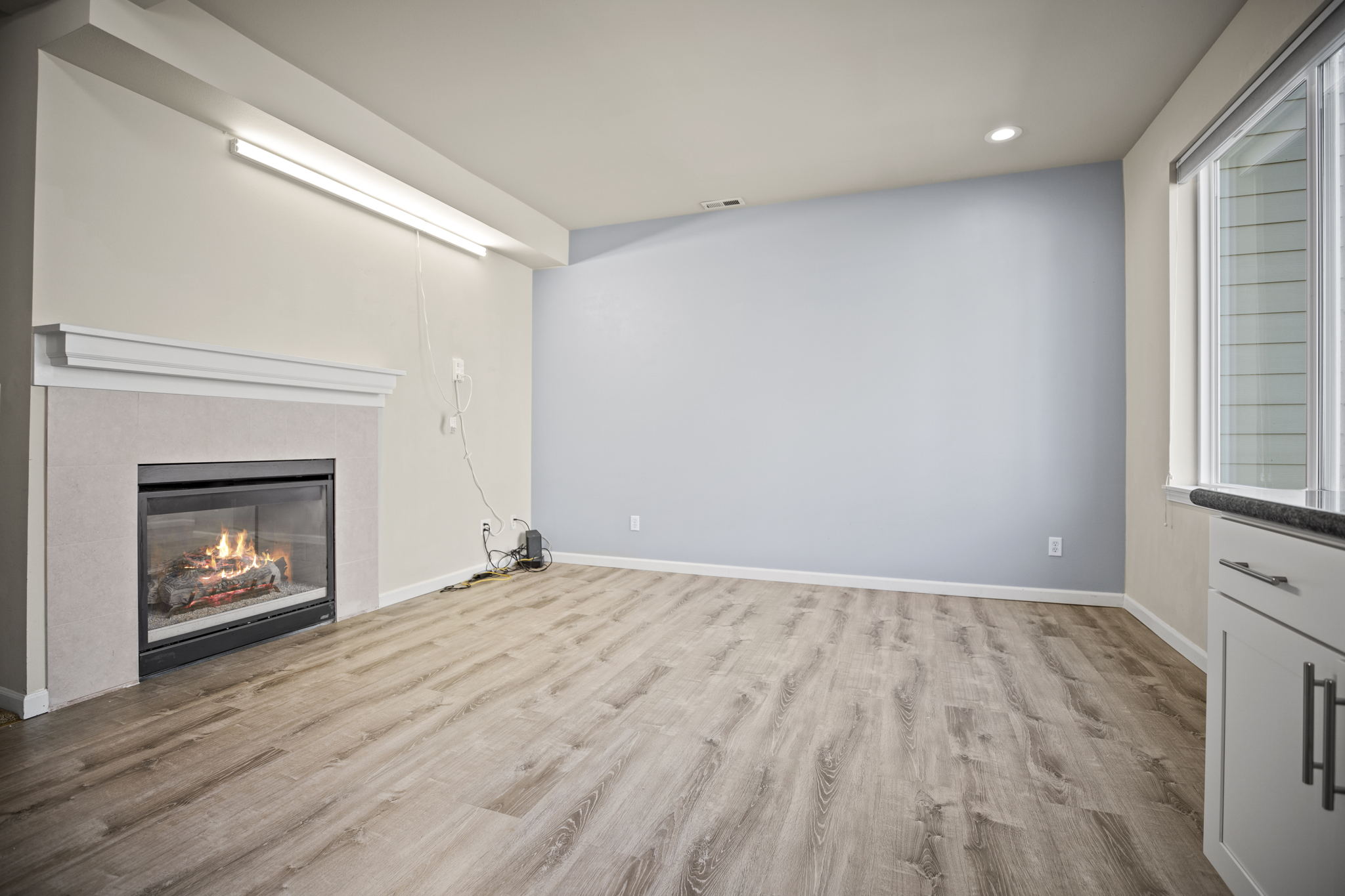 Living Room / Dual Sided Fireplace