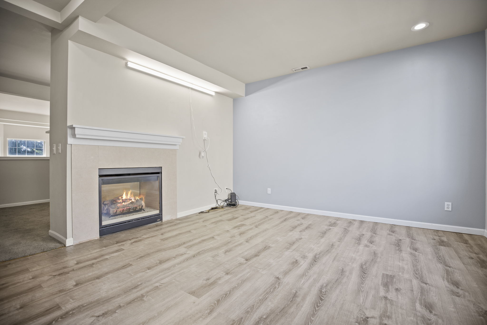 Living Room / Dual Sided Fireplace 2