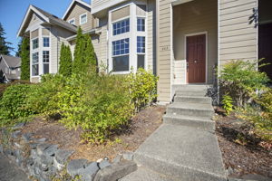 Front Steps