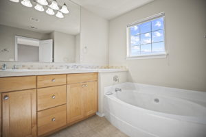 Master Bathroom / Bathtub