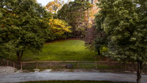  Photo 52