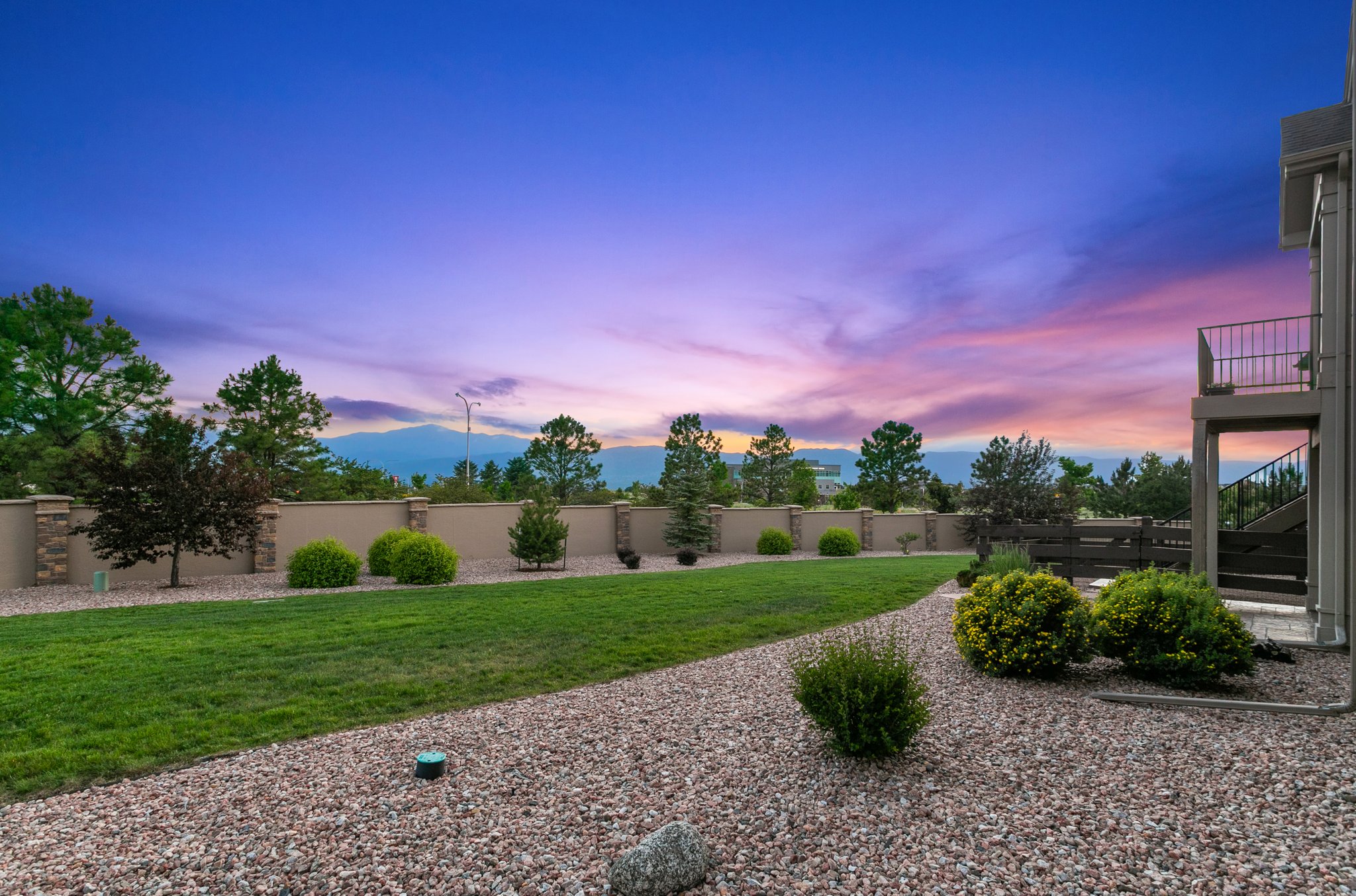 Back Yard