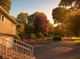  Photo 58