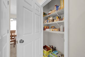 Pantry in kitchen