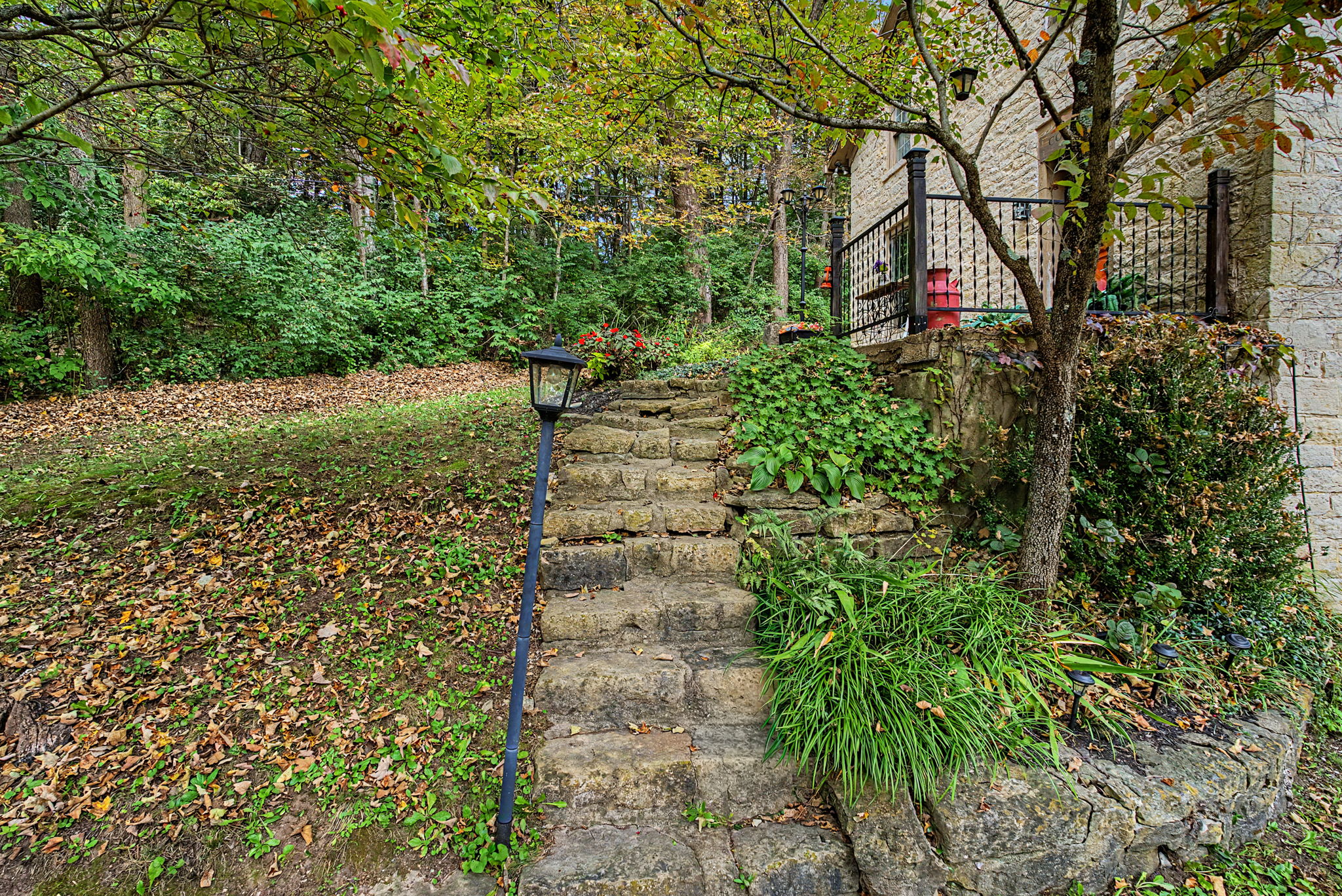  Photo 7