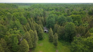  Photo 40