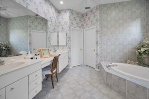 Master Bathroom1a