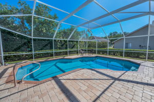 Pool1