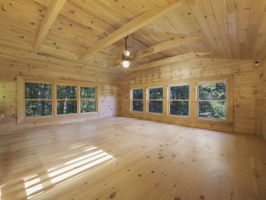  Photo 43