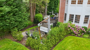VMD006Drone.jpg