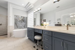 Updated Primary Bath