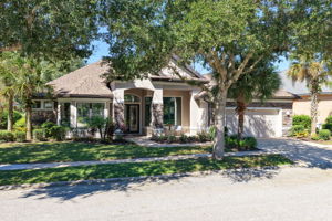 Tree Lined Streets