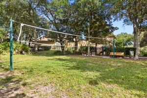 Volleyball
