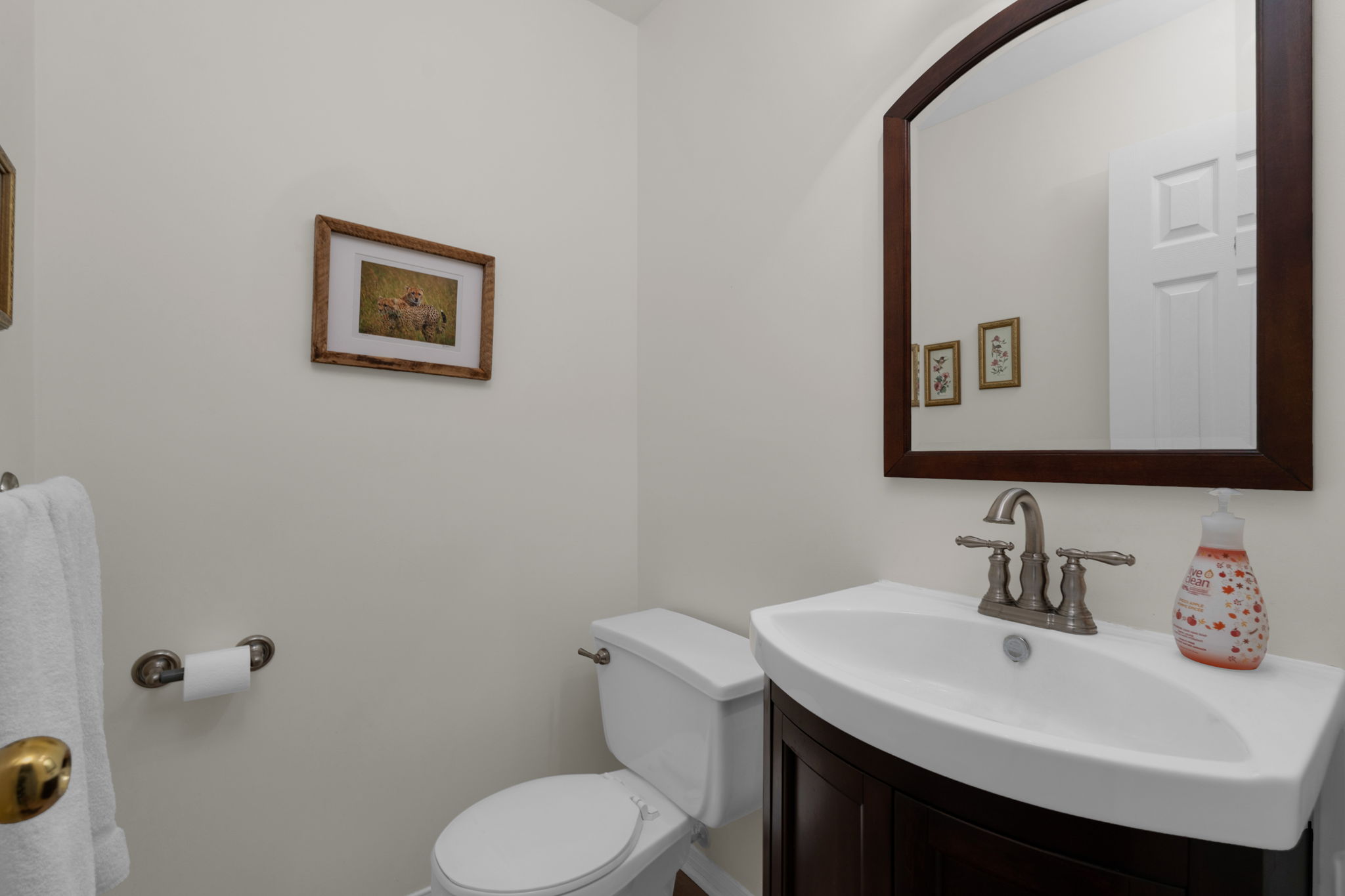  Photo 15