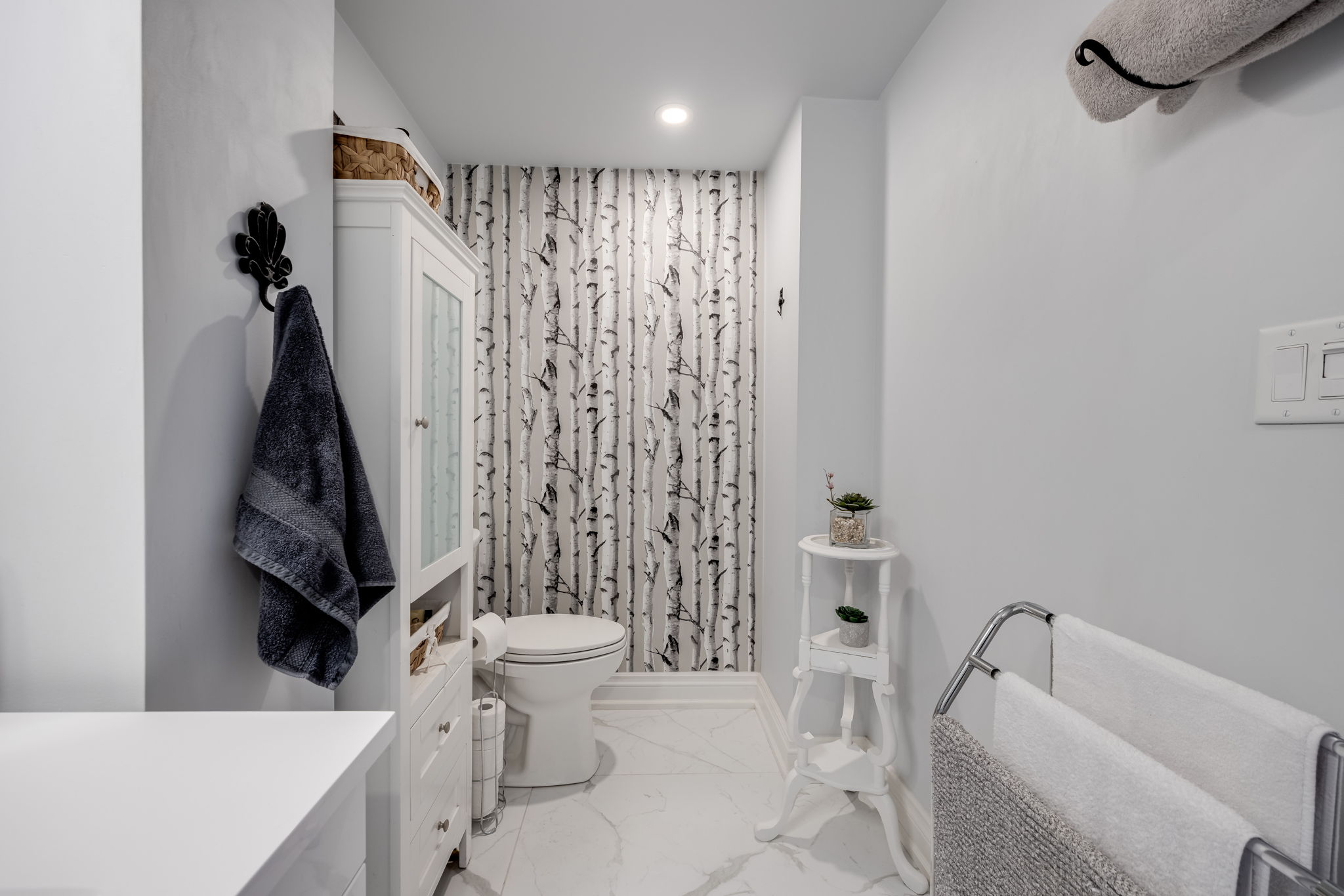 Toronto property showcase — delivered property photograph 30