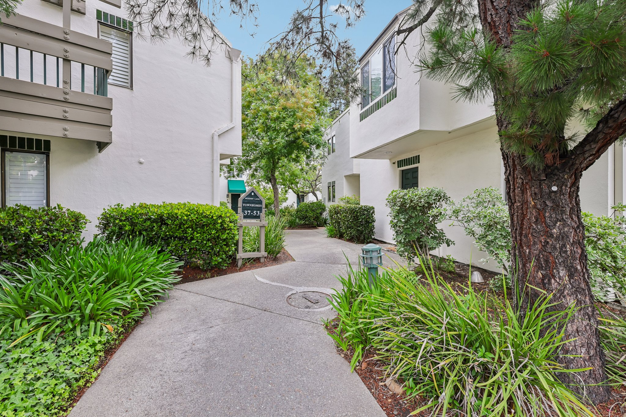 Mozden Ln-S0505-002.jpg