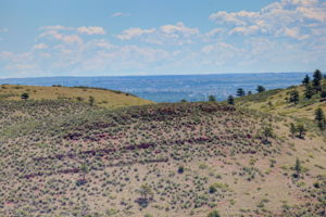  Photo 32