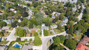  Photo 61