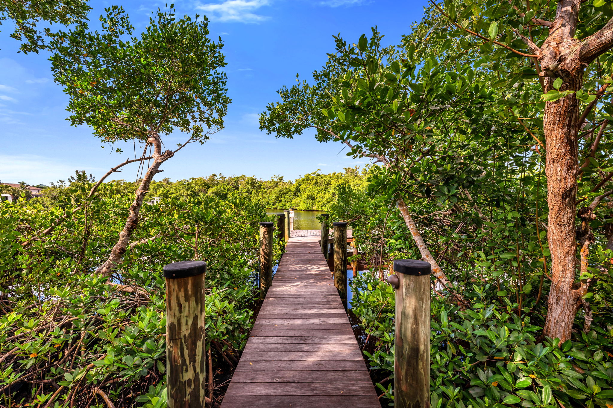 Boardwalk View 3