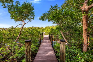 Boardwalk View 3