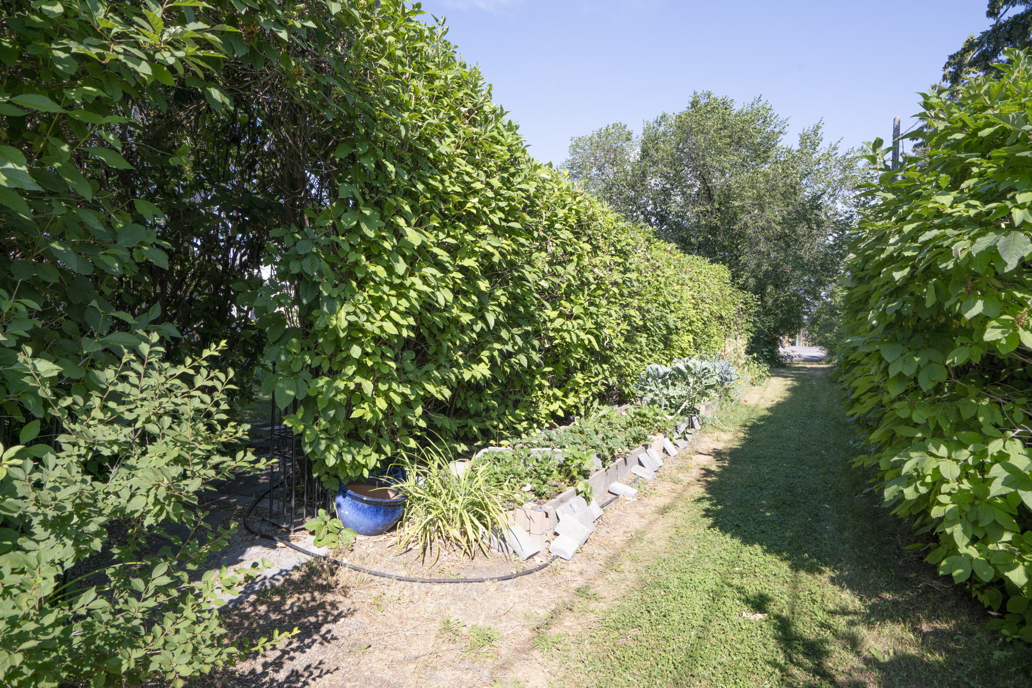 47 Windsor Crescent SW, Calgary, AB T2V 1V5, Canada Photo 21