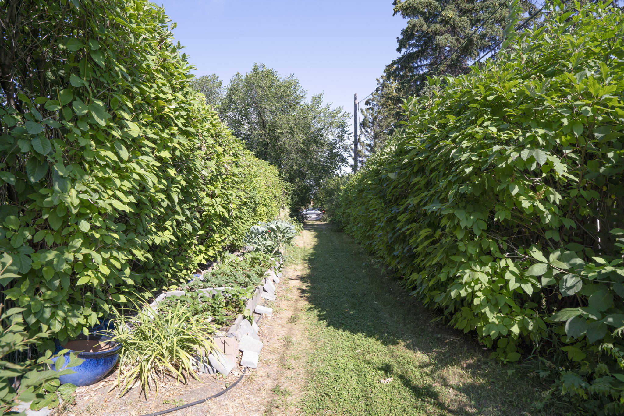 47 Windsor Crescent SW, Calgary, AB T2V 1V5, Canada Photo 22