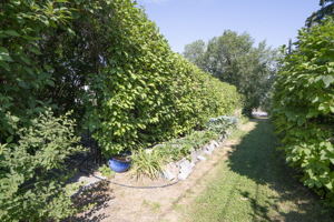 47 Windsor Crescent SW, Calgary, AB T2V 1V5, Canada Photo 20