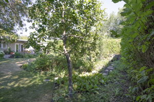 47 Windsor Crescent SW, Calgary, AB T2V 1V5, Canada Photo 23