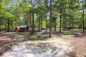  Photo 41
