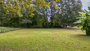  Photo 35