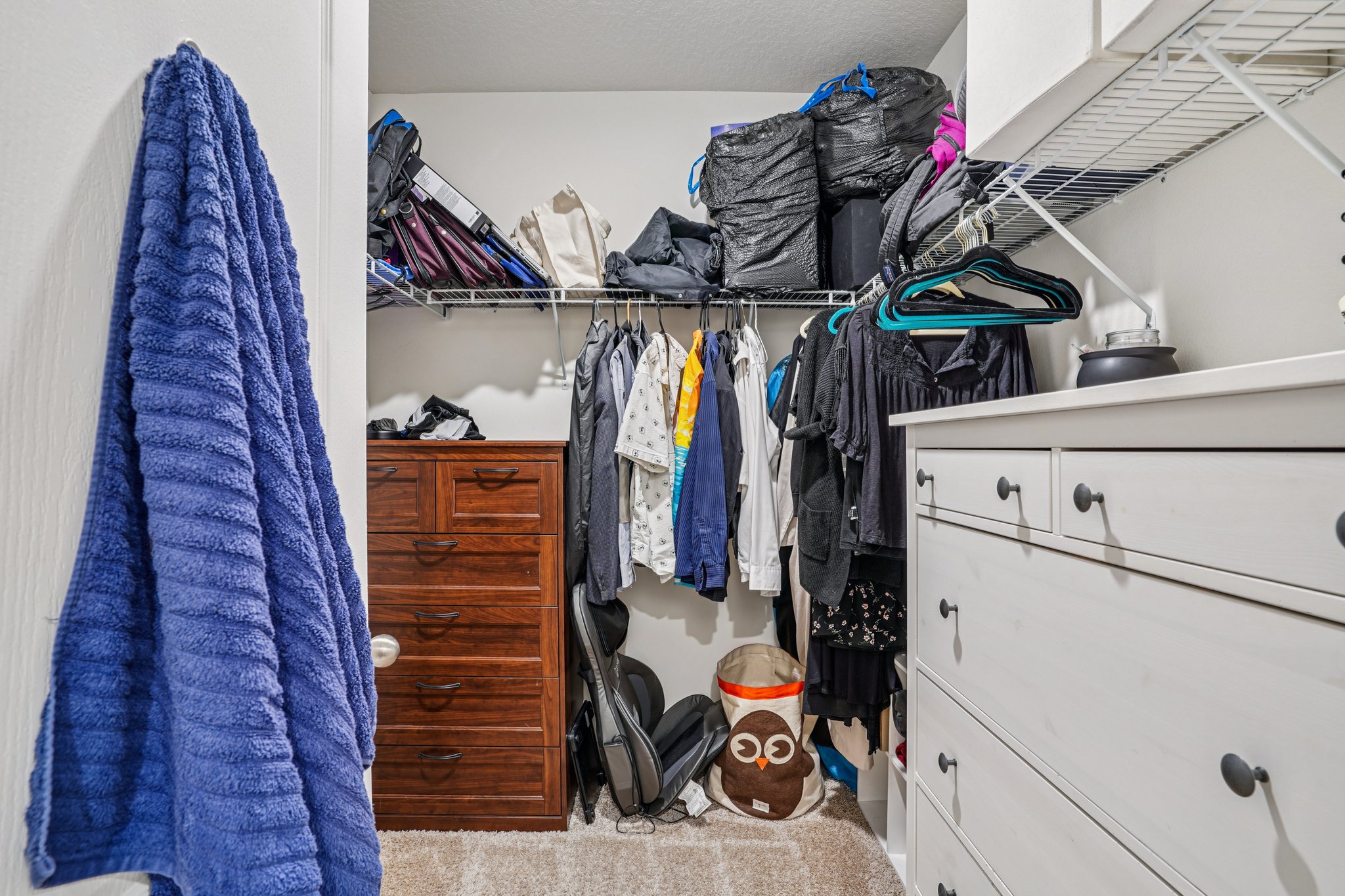 Liu Ln-S2011-031.jpg