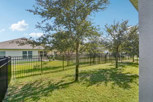 Liu Ln-S2011-036.jpg