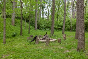  Photo 37