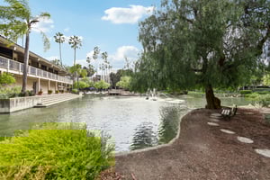 N Civic Dr-2502-914.jpg