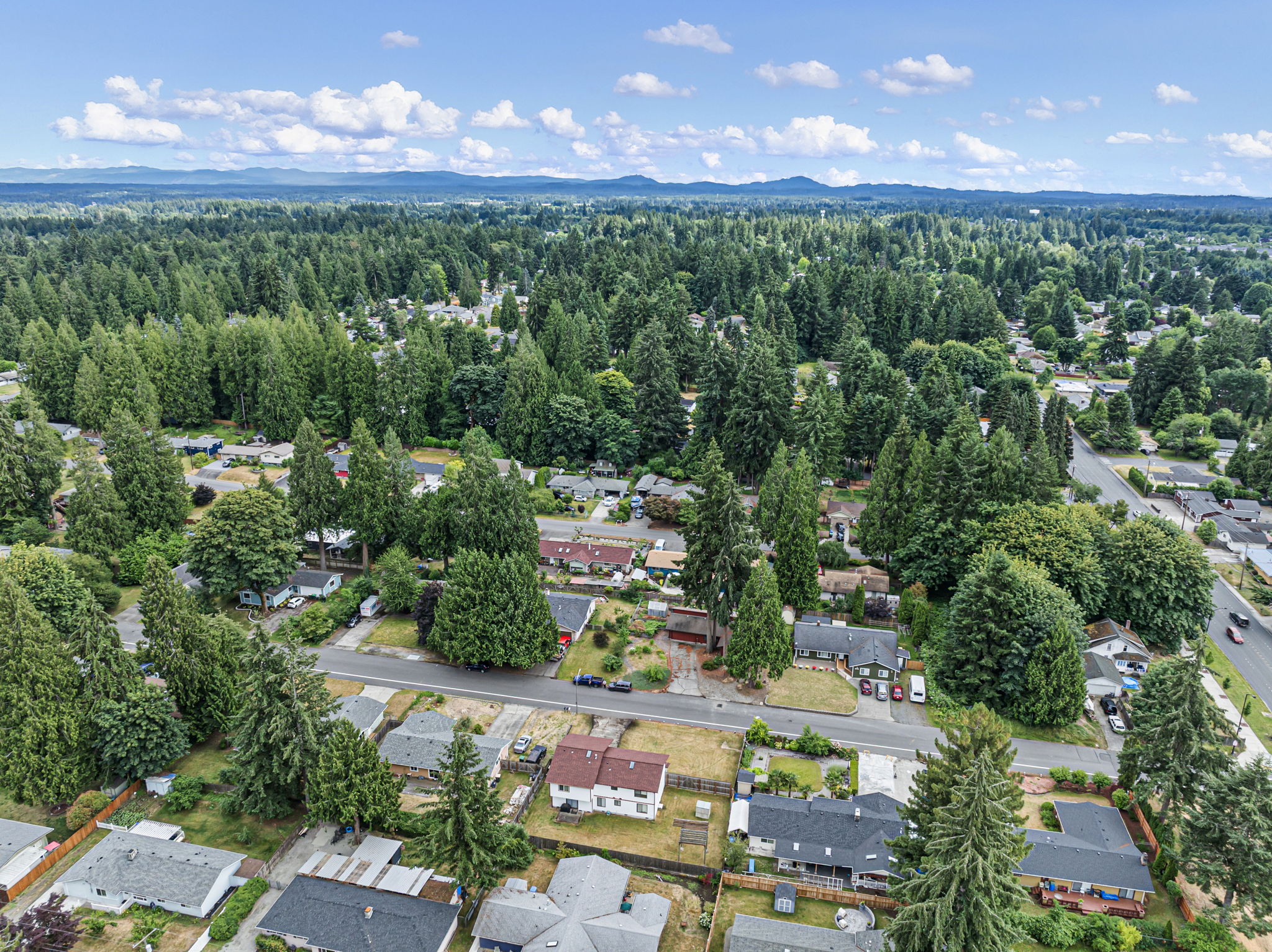 4702 24th Ave SE, Olympia, WA 98503, USA Photo 8