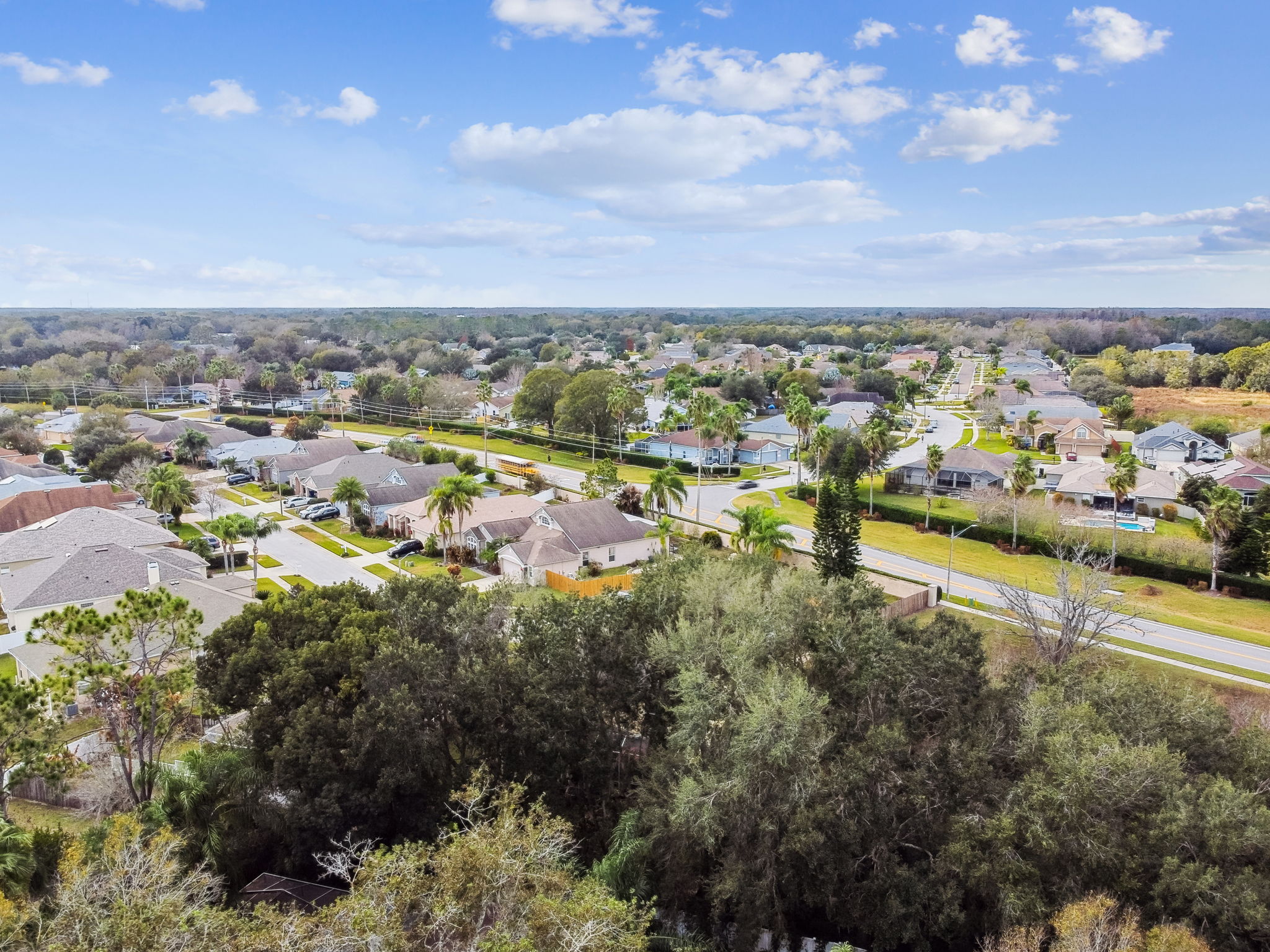 DJI_0493