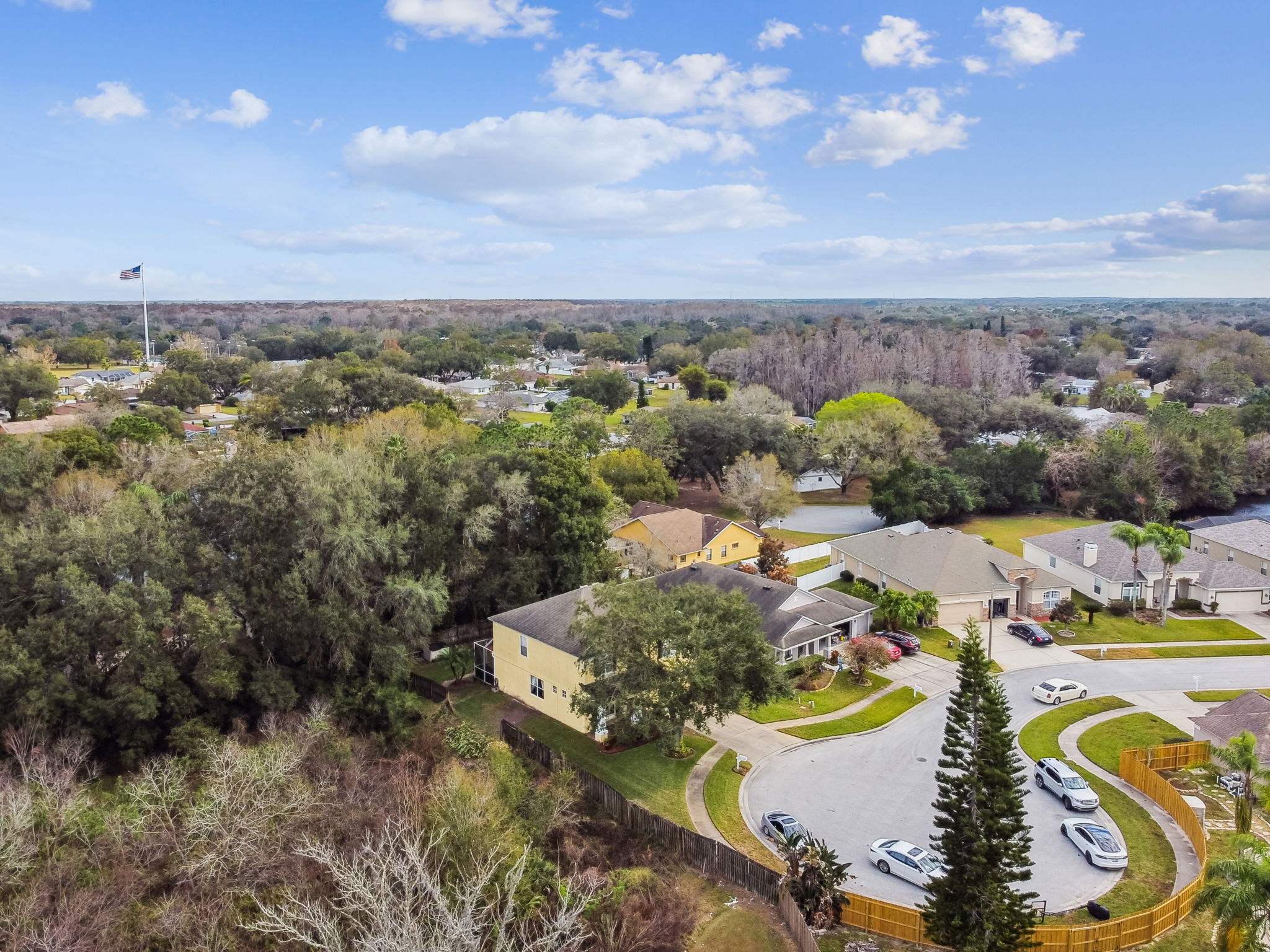 DJI_0460