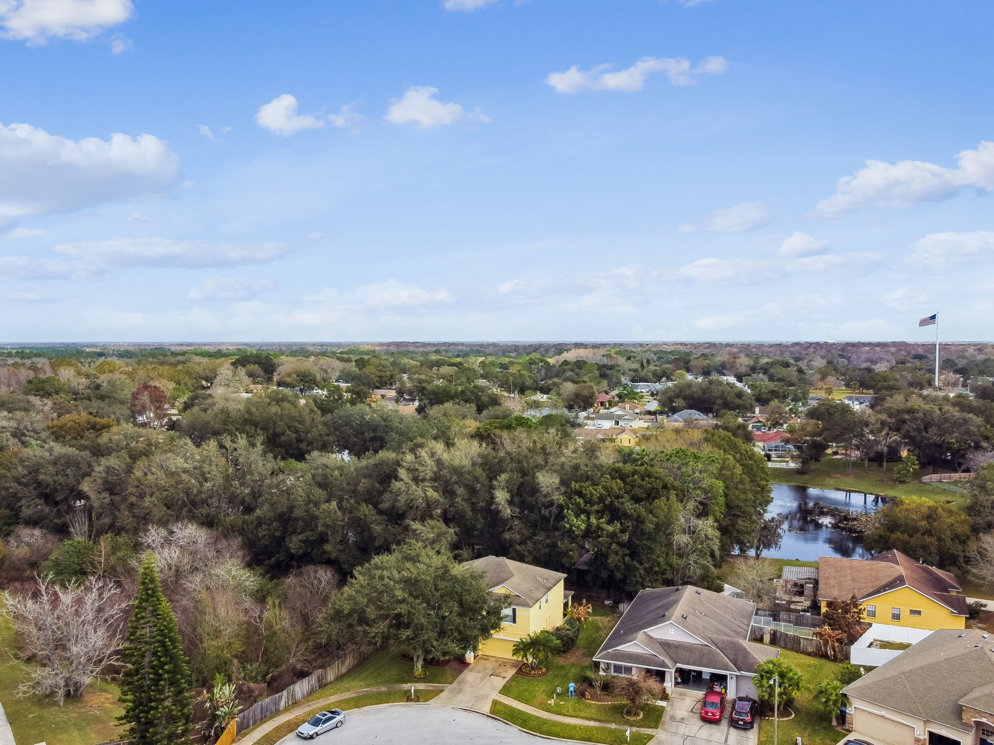 DJI_0466