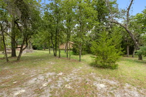  Photo 52